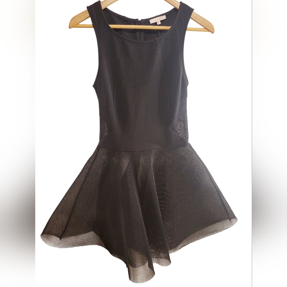 LUXXEL Black Mesh Sheer Sleeveless Fit and Flare Dress